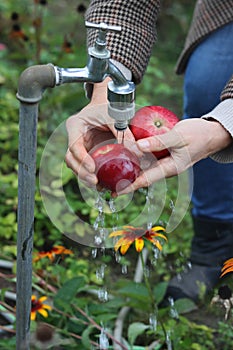 Ruky z stredná starý žena jablko voda prúd využiť v záhrade 
