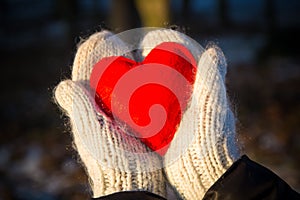 mittens holding red heart photo