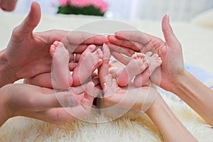 Mom and dad hands hold small legs of their two newborn twin babies