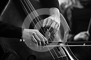 Hands of a musician playing on a double bass