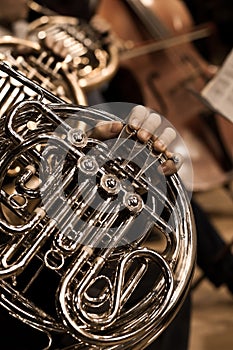 Hands musician playing the French horn