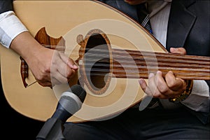 Hands of Musician Playing Note on Lute