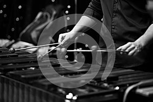Hands musician playing the xylophone