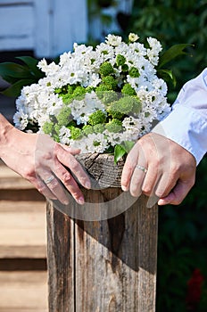 Hands of newly married couple next to wedding bouquet of white decorative daisy lying on natural old wooden plank