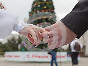 Hands of newly wedded on background of New Year tree