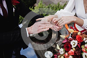 hands of the newlyweds with wedding rings