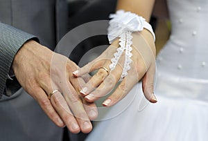 Hands newlyweds with wedding rings