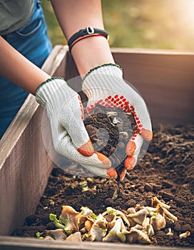 Hands nurturing plants in soil, symbolizing sustainable technology photo