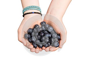 Hands offering organic blueberries