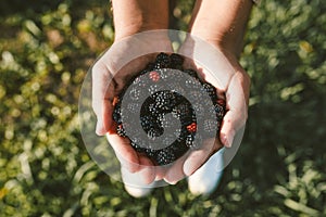 Hands offering some berries on a green grass background