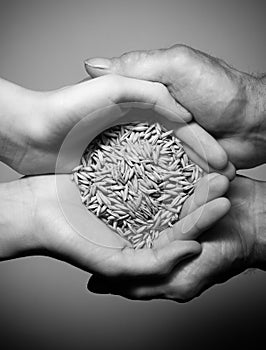 Hands of the old and the young man