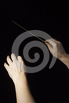 Hands of an orchestra conductor