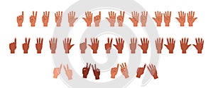 Hands of people of different ethnicity count with fingers, vector isolated.