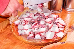 hands of a person cutting octopus tentacles preparing an octopus ration. Pulpo a feira. Galicia, Spain