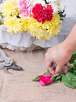 Hands of person holding flower.