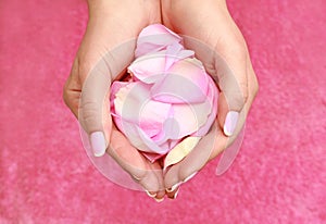 Hands with petals