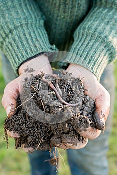Hands with Pile of Compost with Earthworm on Top