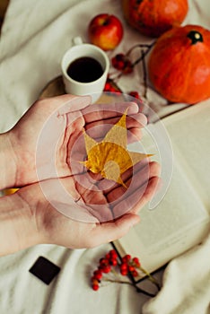 Hands with pine yellow mapleleaf on the background of an autumn still life of a cup of tea pumpkins apples and yellow leaves.