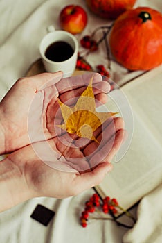 Hands with pine yellow mapleleaf on the background of an autumn still life of a cup of tea pumpkins apples and yellow leaves.