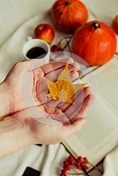 Hands with pine yellow mapleleaf on the background of an autumn still life of a cup of tea pumpkins apples and yellow leaves.