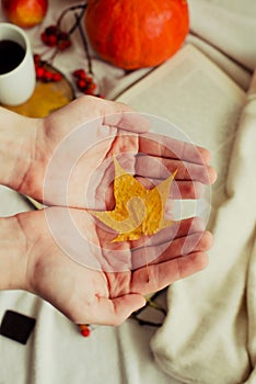 Hands with pine yellow mapleleaf on the background of an autumn still life of a cup of tea pumpkins apples and yellow leaves.