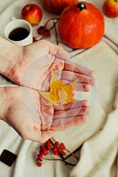 Hands with pine yellow mapleleaf on the background of an autumn still life of a cup of tea pumpkins apples and yellow leaves.