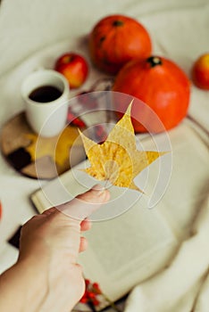 Hands with pine yellow mapleleaf on the background of an autumn still life of a cup of tea pumpkins apples and yellow leaves.