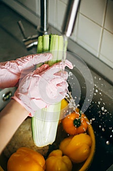 Hands in pink gloves washing celery in splashing water in sink during virus epidemic. Woman  cleaning fresh vegetables, preparing