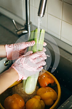 Hands in pink gloves washing celery in water stream in sink during virus epidemic. Woman  cleaning fresh vegetables, preparing for