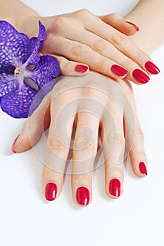 Hands with pink manicure and purple orchid