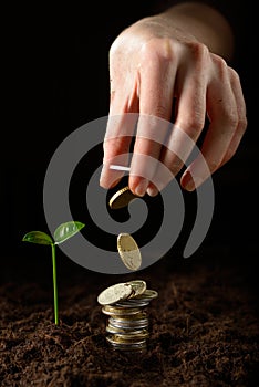 Hands with plant and money