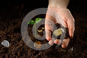 Hands with plant and money