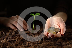 Hands with plant and money