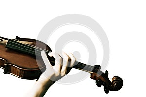 Hands playing violin on white