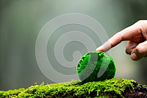 Hands pointing green globe in green forest. Forest conservation concept. Environment concept. Elements of this image furnished by