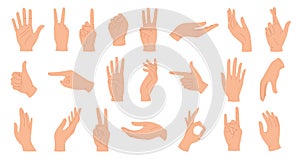 Hands poses. Female hand holding and pointing gestures, fingers crossed, fist, peace and thumb up. Cartoon human palms