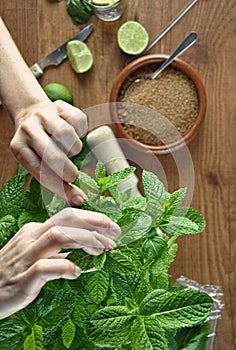 Hands preparing mojito cocktail