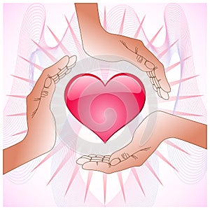 Hands preserve heart