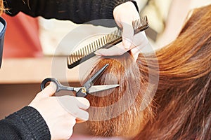 Hands of professional hair stylist with scissors and comb photo