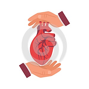 Hands protect the human heart vector