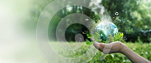 Hands protecting globe of green leafs and tree on tropical nature summer background, Ecology and Environment concept