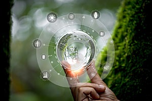 Hands protecting globe of green tree on nature background, ecology and environment. Hand holding green earth ESG icon for