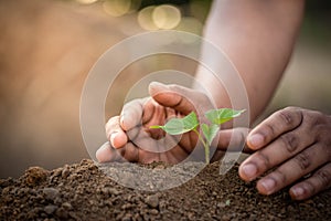 A hands protecting young plant for growth on soil with around the crisis environment.