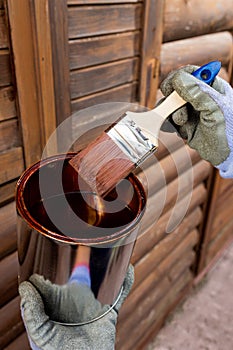 Hands in protective gloves holding can with paint or varnish to protect wooden house exterior