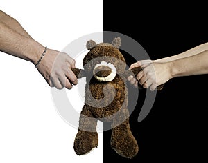 Hands pulling a teddy bear