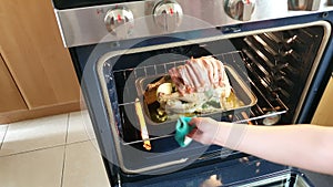 Hands putting turkey in the oven on the kitchen background.