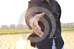 Hands reaching out to help in blurred sunlight background.