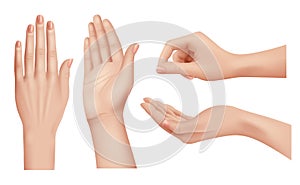 Hands realistic. Gestures human palms and fingers pointing hand people communication language vector closeup template