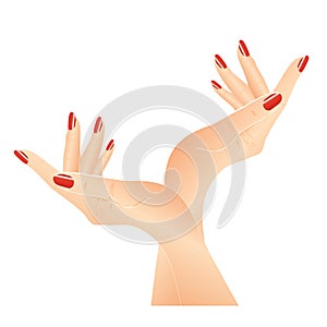 Hands with red nails - vector
