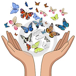 Hands releasing colorful butterflies. Isolate on white background. Vector graphics
